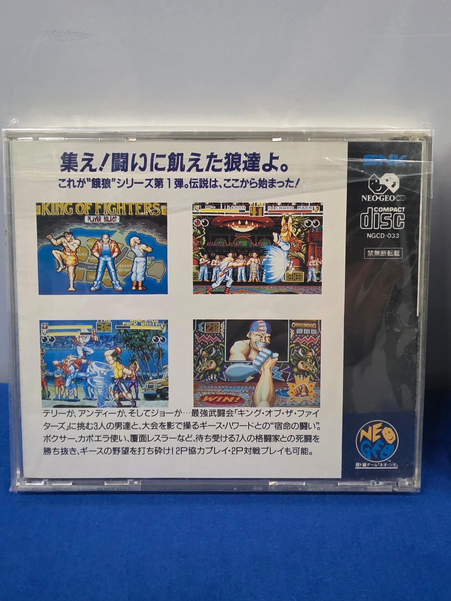 Fatal Fury