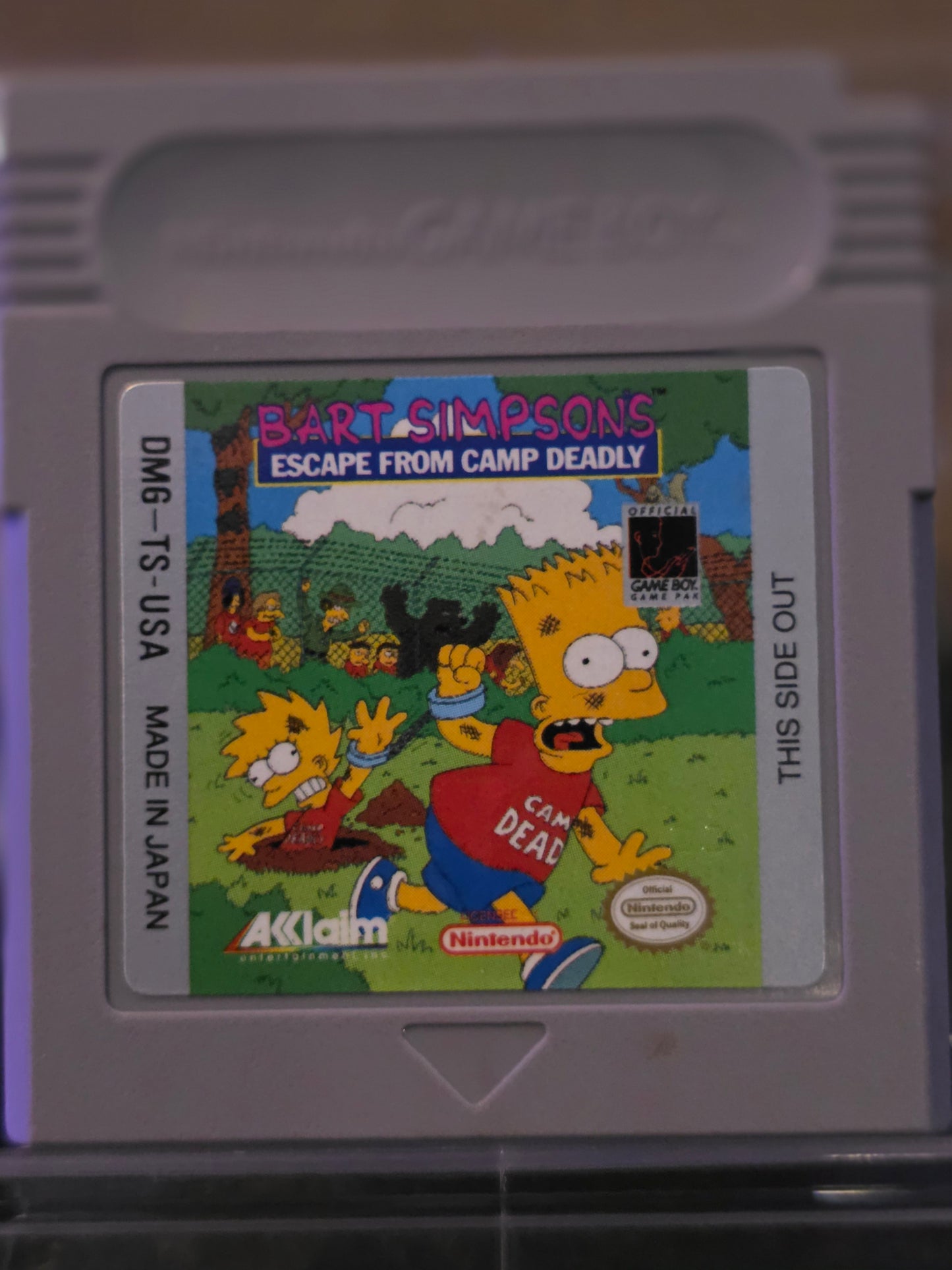 Bart Simpson's Escape from Camp Deadly
