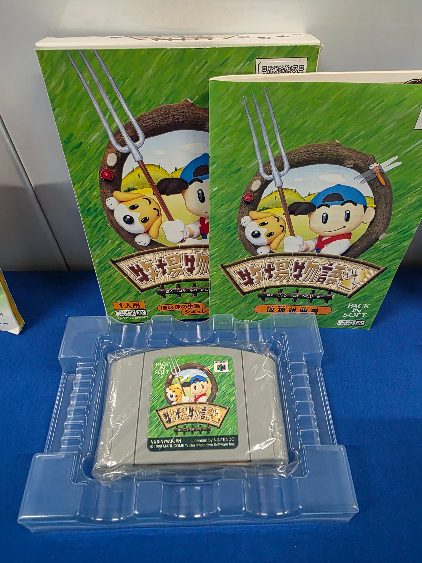 Harvest Moon Bokujo Monogatari 2