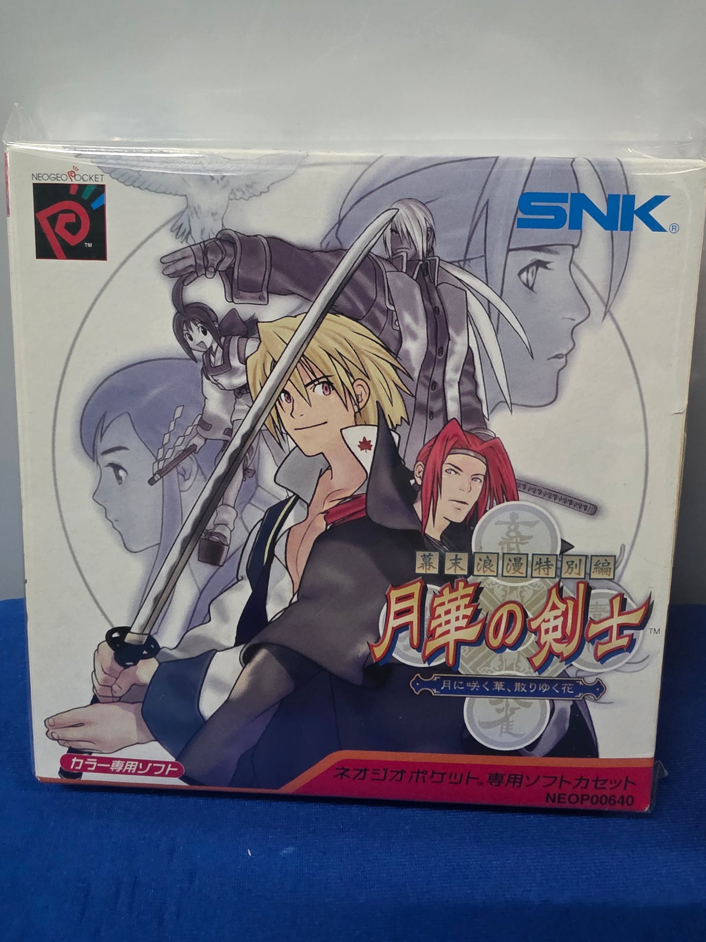 The Last Blade: Beyond the Destiny