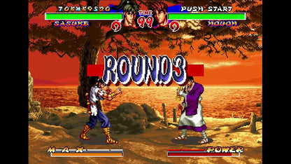 Ninja Masters: Haō Ninpō Chō