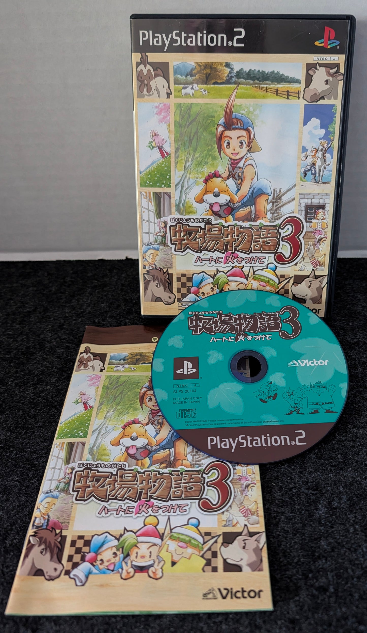 Harvest Moon: Save the Homeland