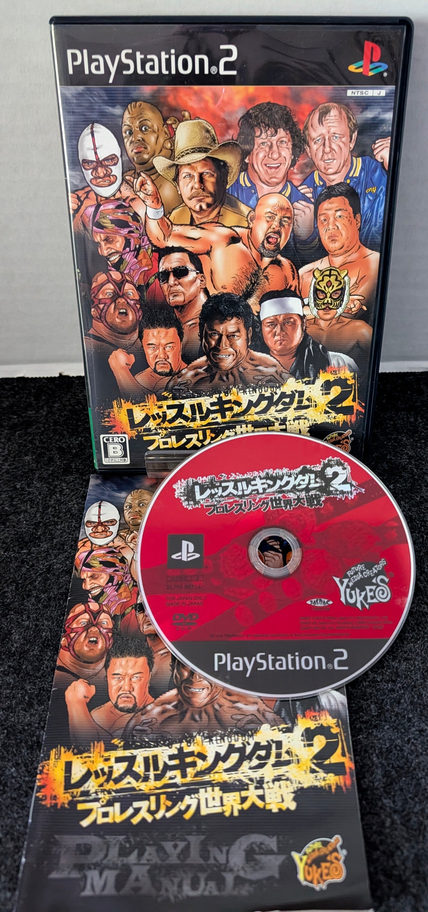Wrestle Kingdom 2: Pro Wrestling Sekai Taisen