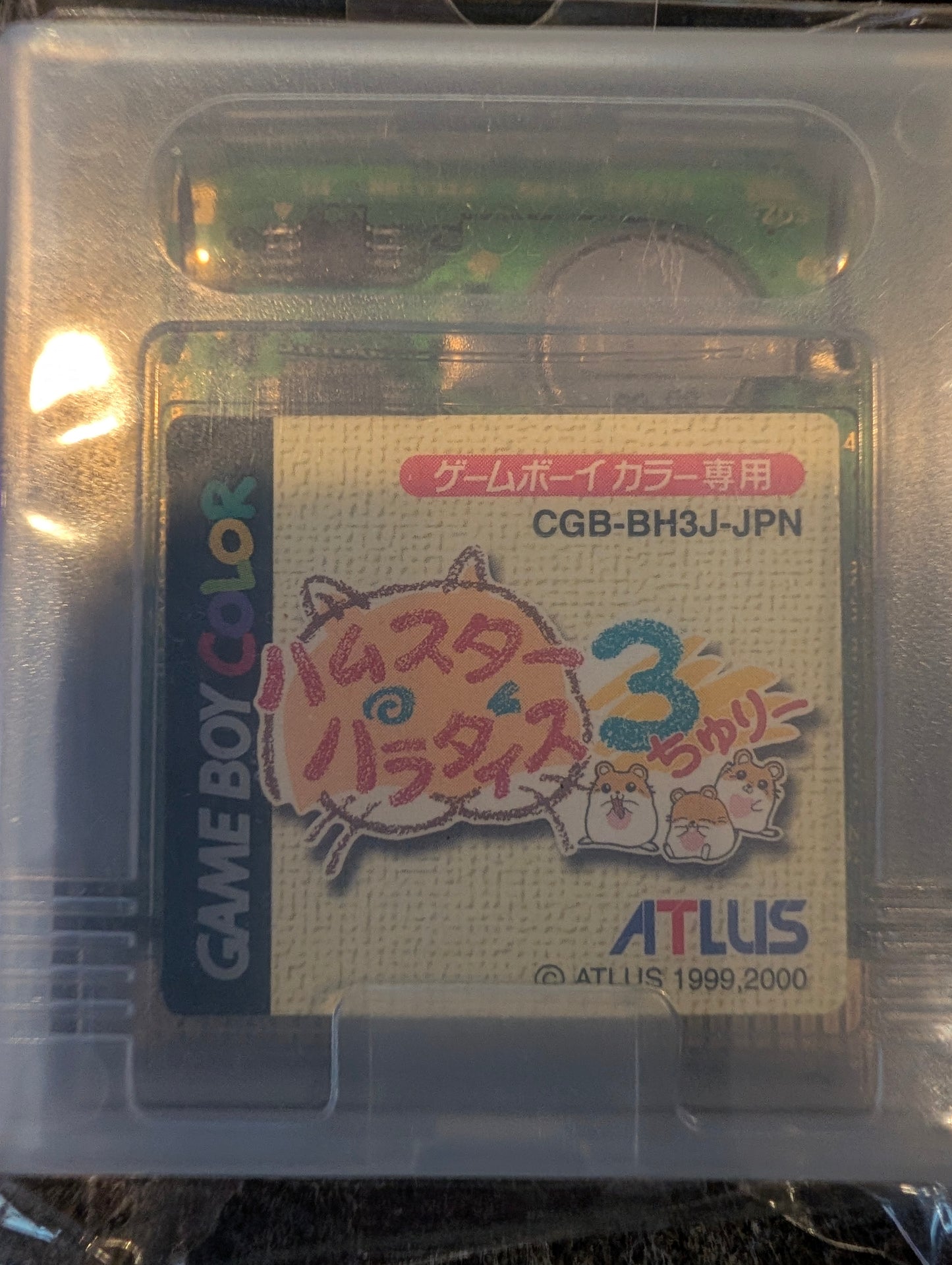 Hamster Paradise 3