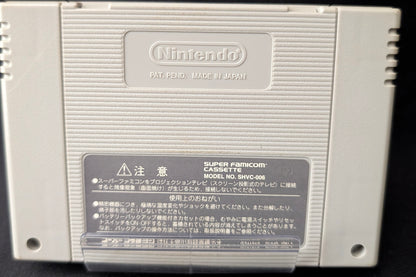 Rockman & Forte (Cart Only)