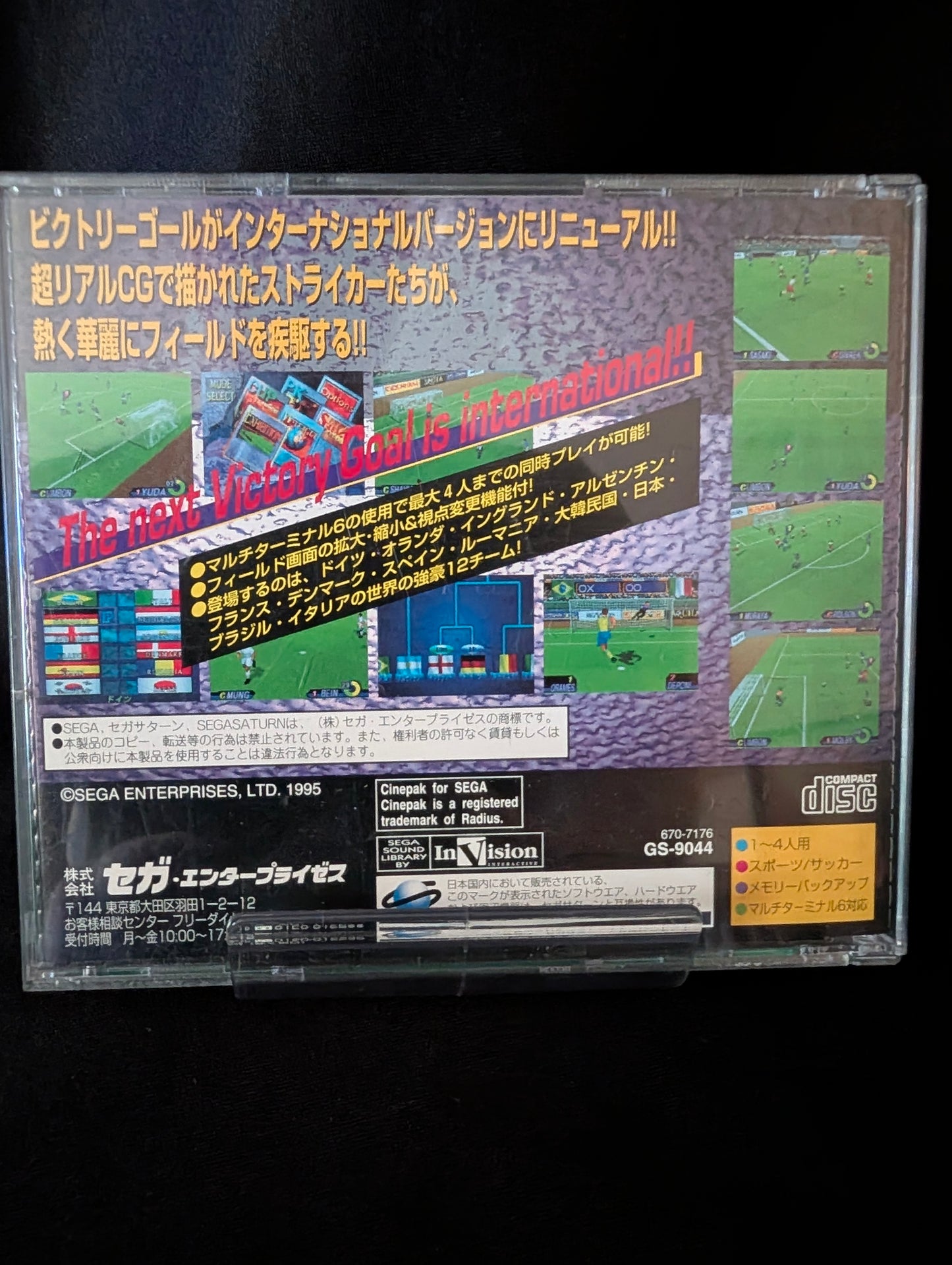 Sega International Victory Goal