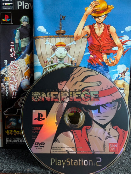 Fighting for One Piece